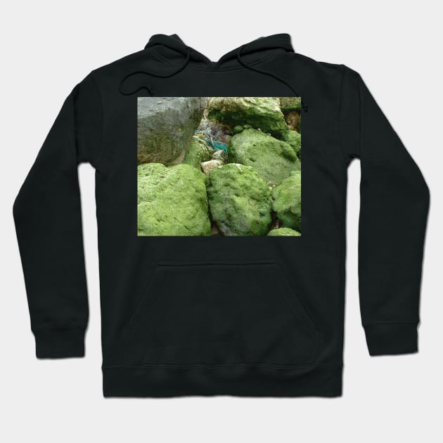 Green rocks. Hoodie by robelf